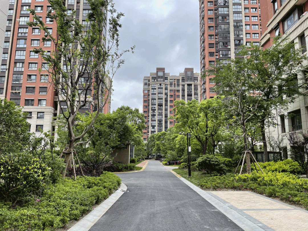 67dcfab125bed836ac89a913c865b6d9.jpg 7dc798904b66c370670e4ca771d3fc4a.jpg